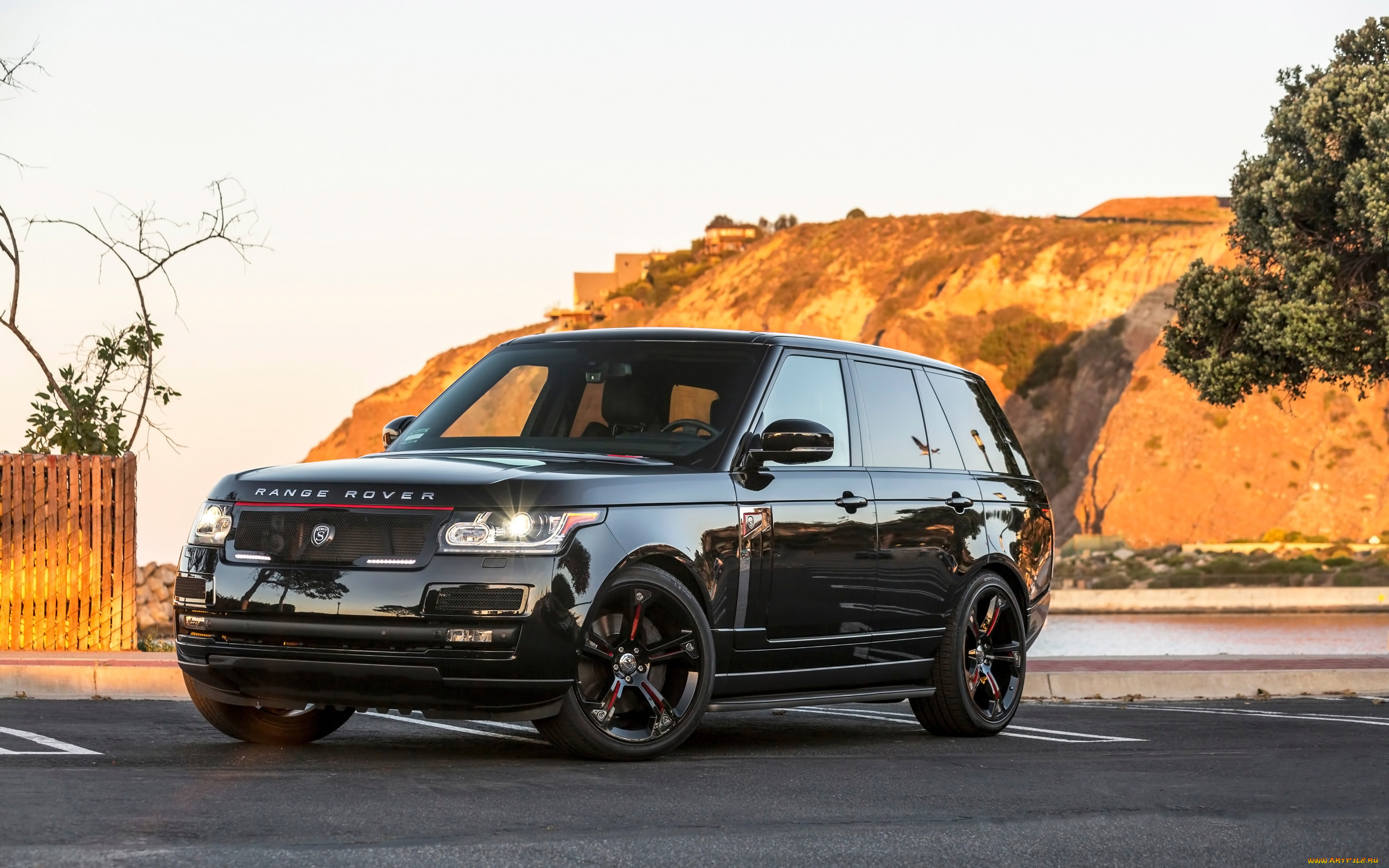 , range rover, strut